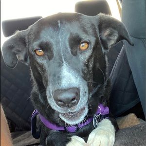 Meet your Posher, Cindy